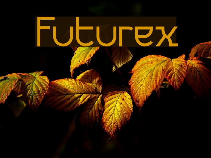 Futurex Font examples