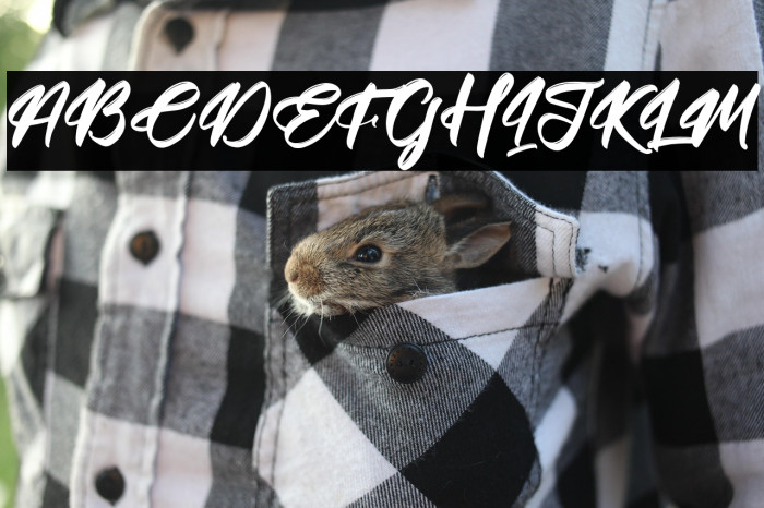 Futuristic Rottesla Example 1