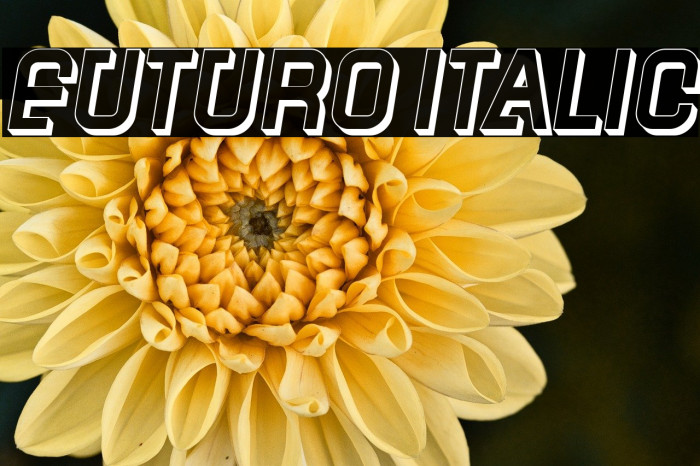Futuro Italic Example 2
