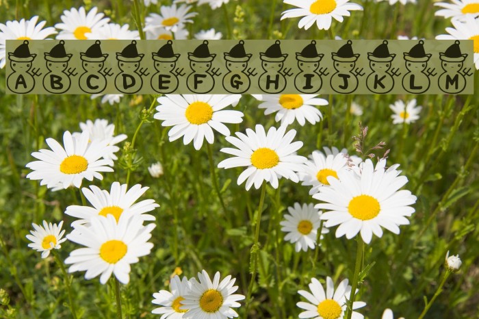 Fuyu Font Font examples