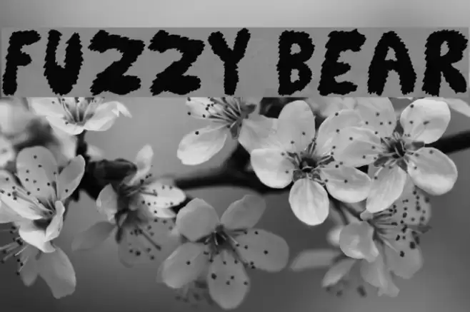 Fuzzy Bear Font examples
