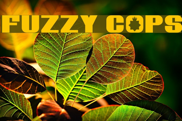 Fuzzy Cops Font examples