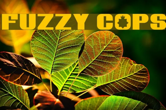 Fuzzy Cops Example 3