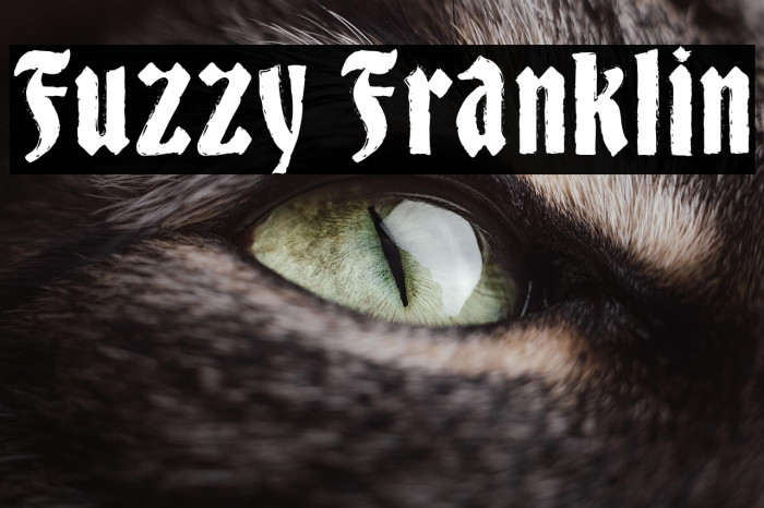 Fuzzy Franklin Example 3