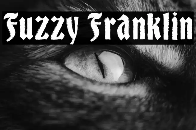 Fuzzy Franklin Font examples