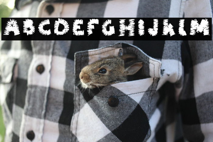 Fuzzy Monster Regular Example 3