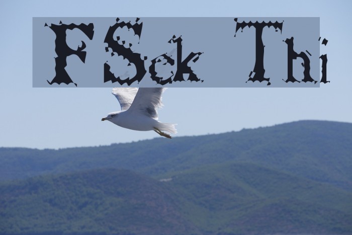 FuzzySock Thin Font examples