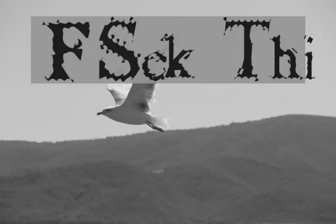 FuzzySock Thin Font examples