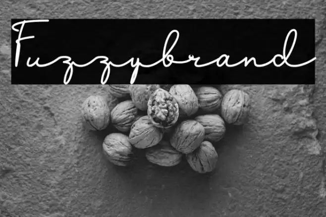 Fuzzybrand Font examples