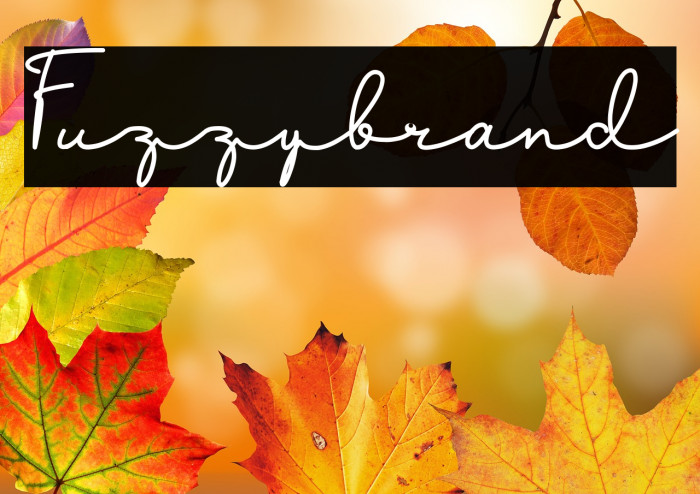 Fuzzybrand Example 3