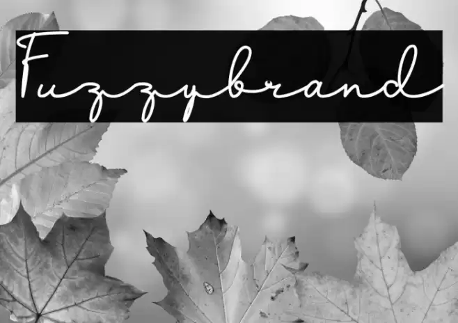 Fuzzybrand Font examples
