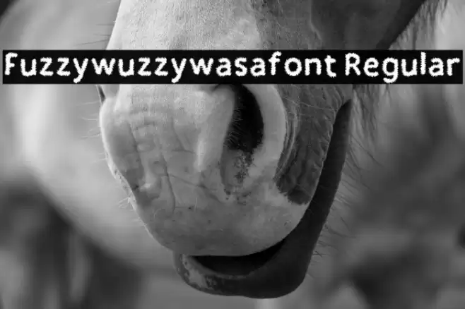 Fuzzywuzzywasafont Regular Font examples