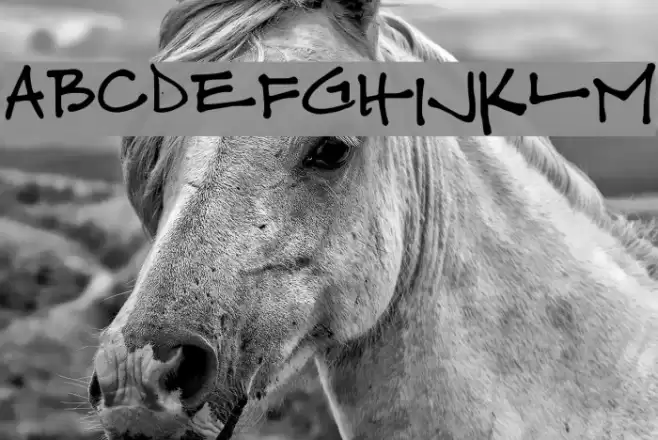 fuchsiabuddha Font examples