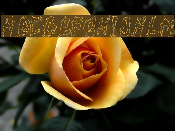 fuckfont Font examples