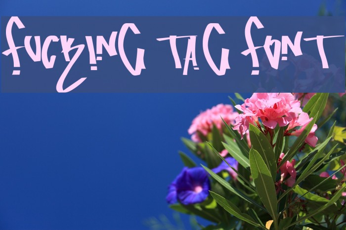 fucking tag font Example 2