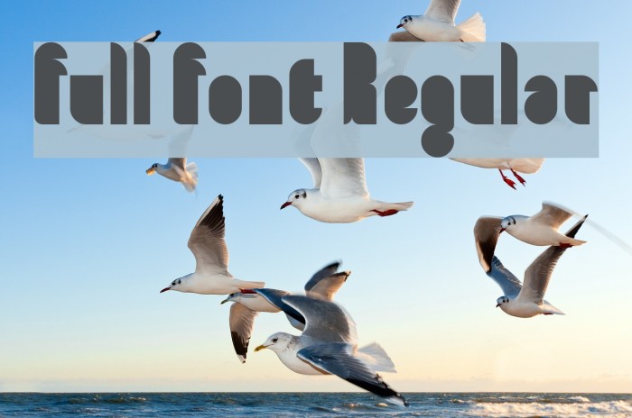 full font Regular Font examples