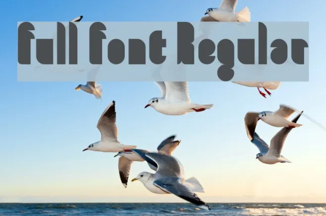 full font Regular Example 1
