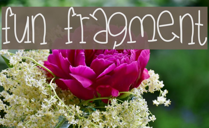 fun fragment Example 1