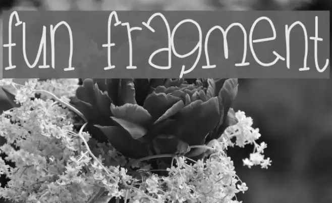 fun fragment Font examples