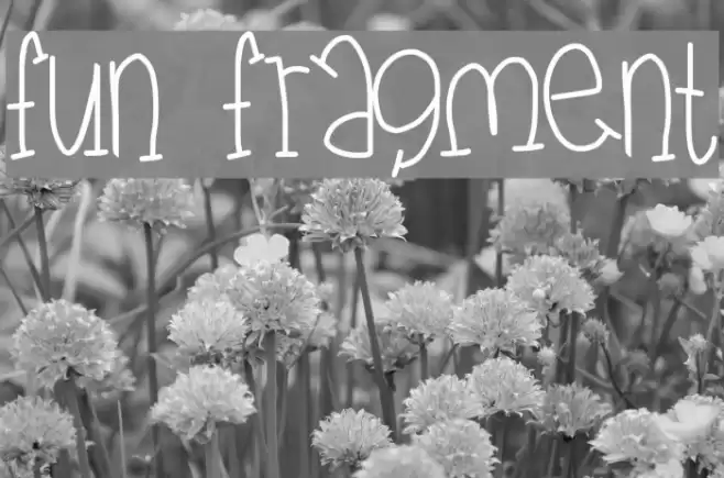 fun fragment Font examples