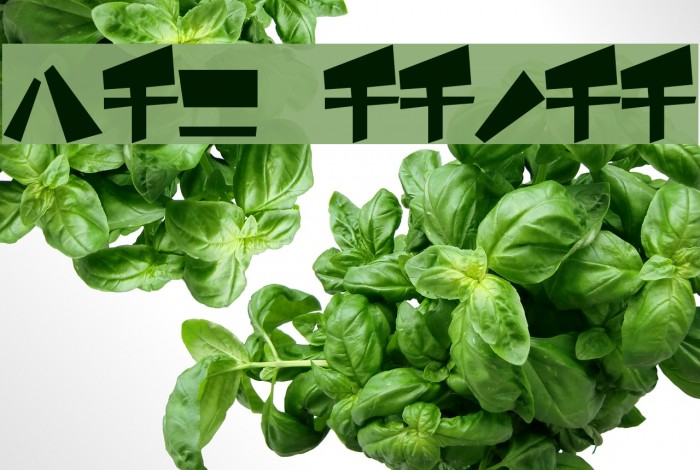 funamori Katakana Example 2