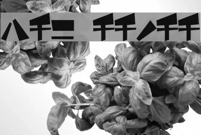 funamori Katakana Font examples