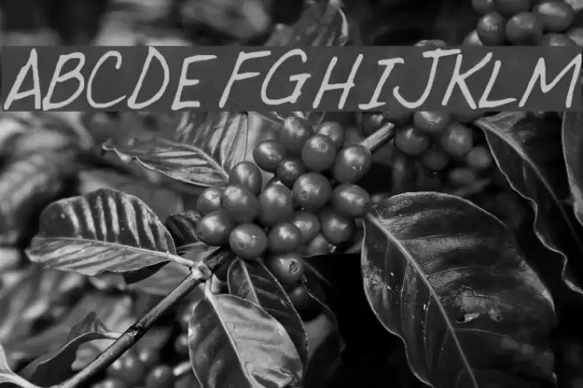 funfont Font examples