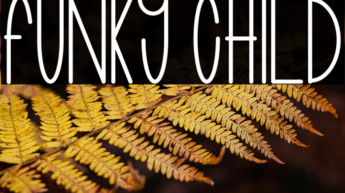 funky child Example 3