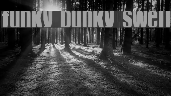 funky dunky swell Font examples