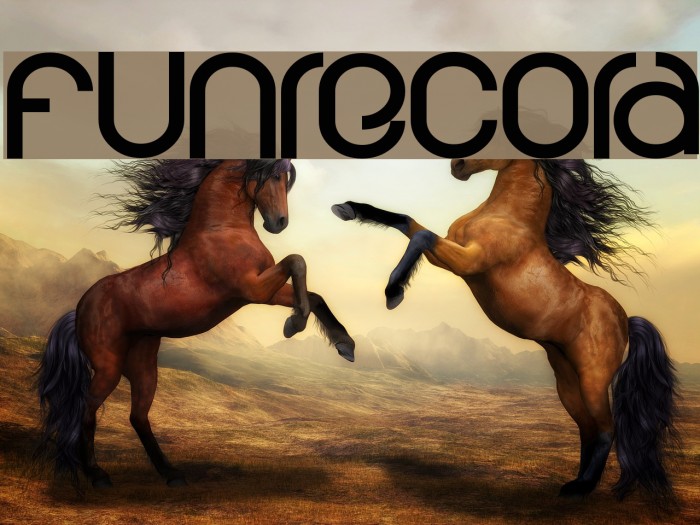 funrecord Font examples