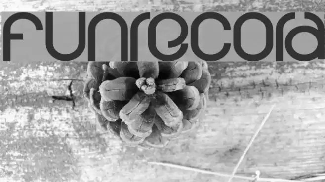 funrecord Font examples