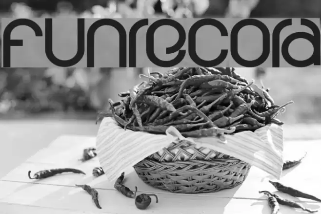 funrecord Font examples