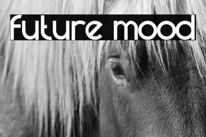 future mood Font examples