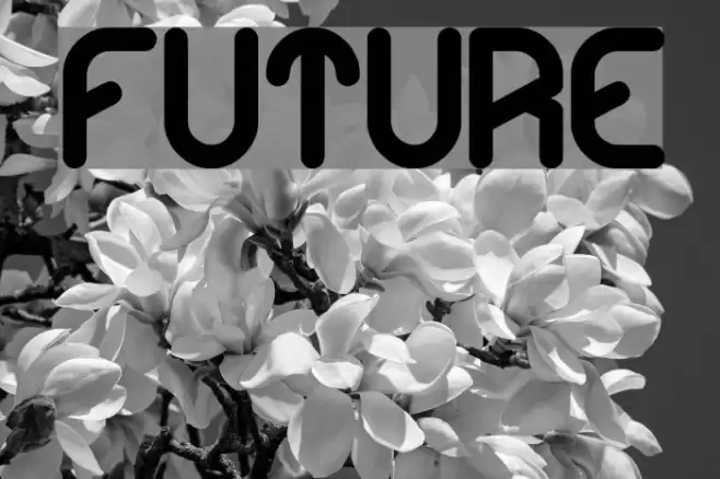 future Font examples