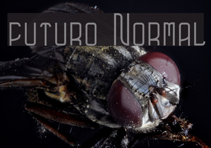 futuro Normal Example 3