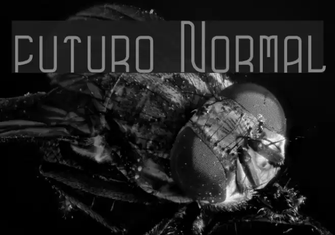 futuro Normal Font examples