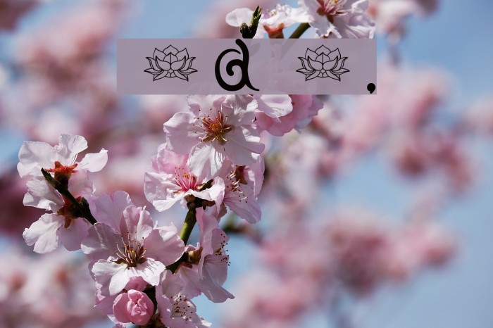 fuu Regular E. Font examples