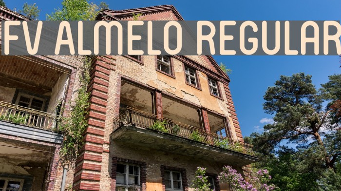 FV Almelo Regular Font examples