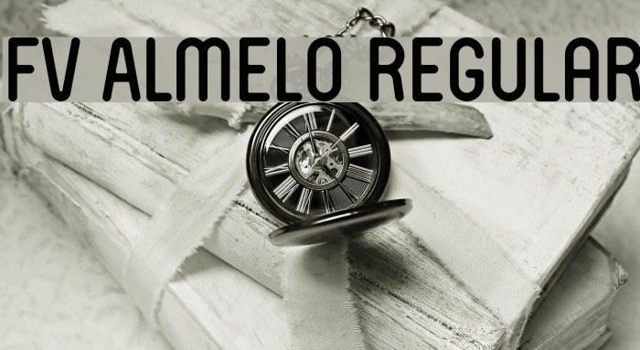 FV Almelo Regular Font examples