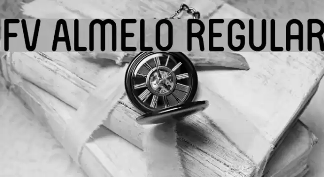 FV Almelo Regular  examples