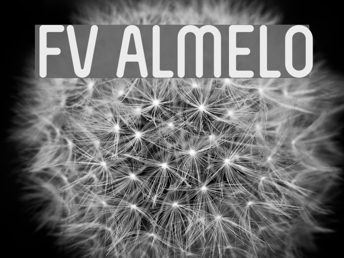 FV Almelo Font examples