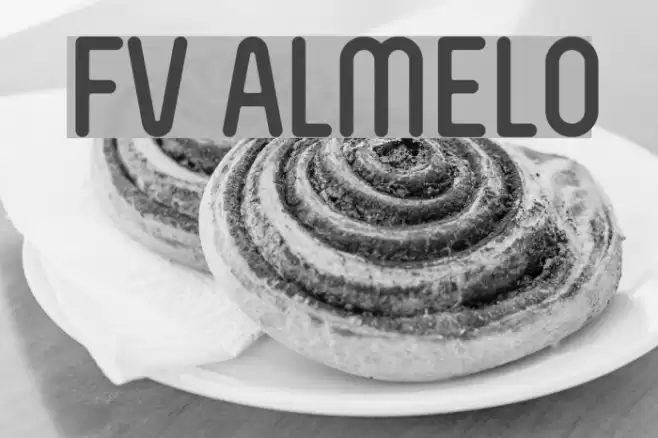 FV Almelo  examples