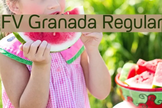 FV Granada Regular Example 1