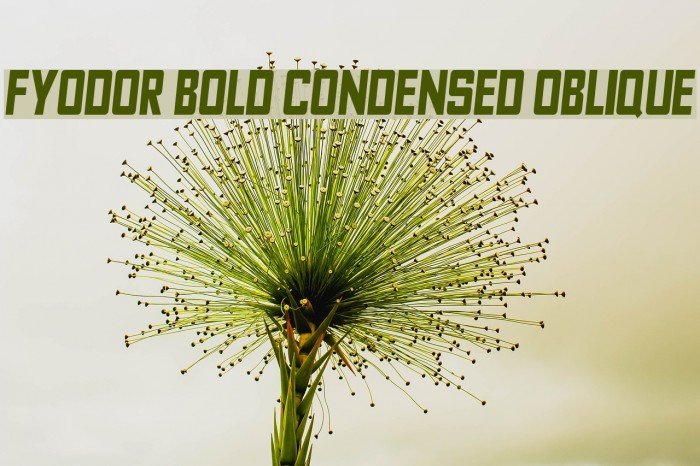Fyodor Bold Condensed Oblique Font examples