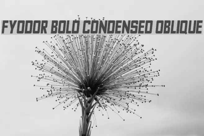 Fyodor Bold Condensed Oblique Font examples