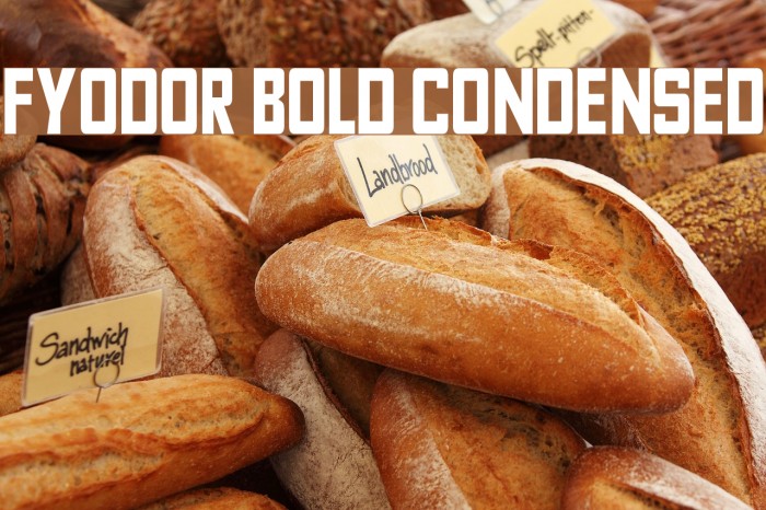 Fyodor Bold Condensed Font examples