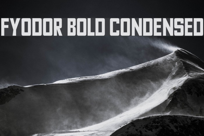 Fyodor Bold Condensed Font examples