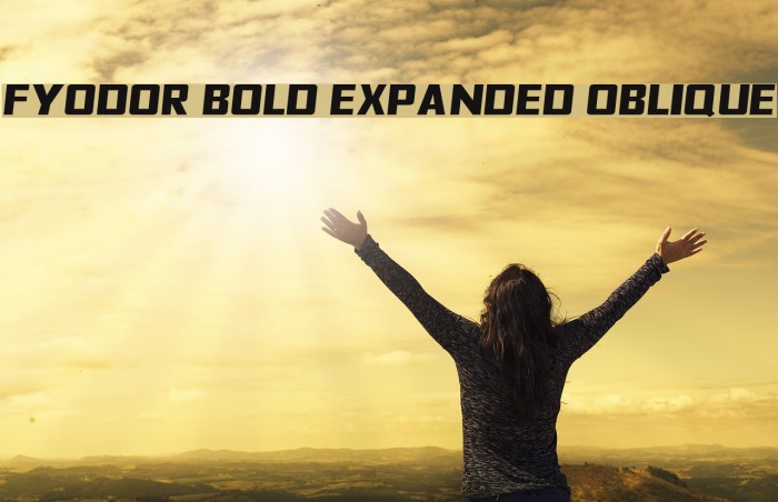 Fyodor Bold Expanded Oblique Font examples