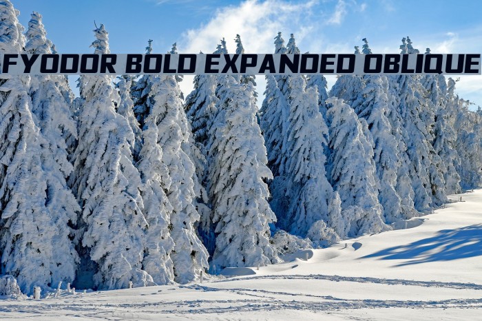 Fyodor Bold Expanded Oblique Font examples