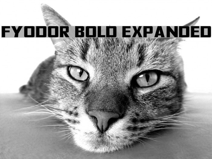 Fyodor Bold Expanded Font examples